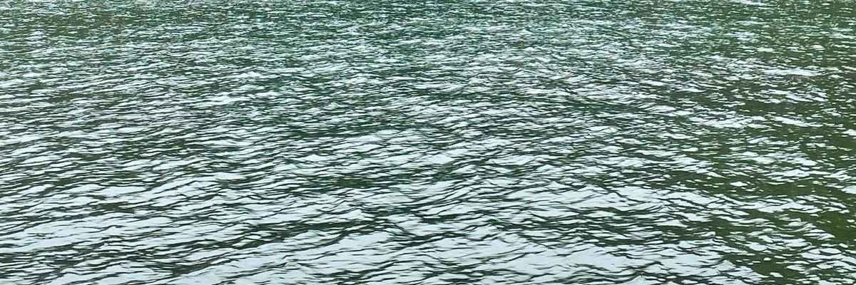 dlopezmartos's profile banner image