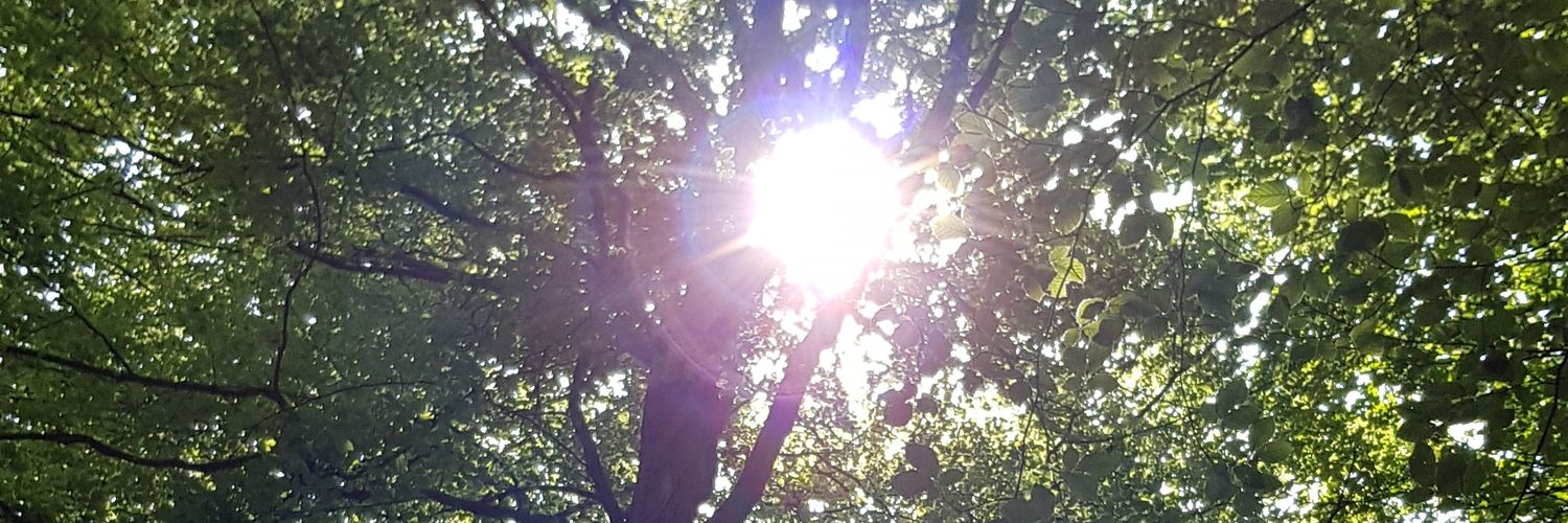 IMessner23's profile banner image