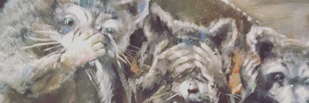 franziscar's profile banner image