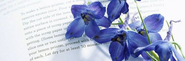 valli_eva's profile banner image