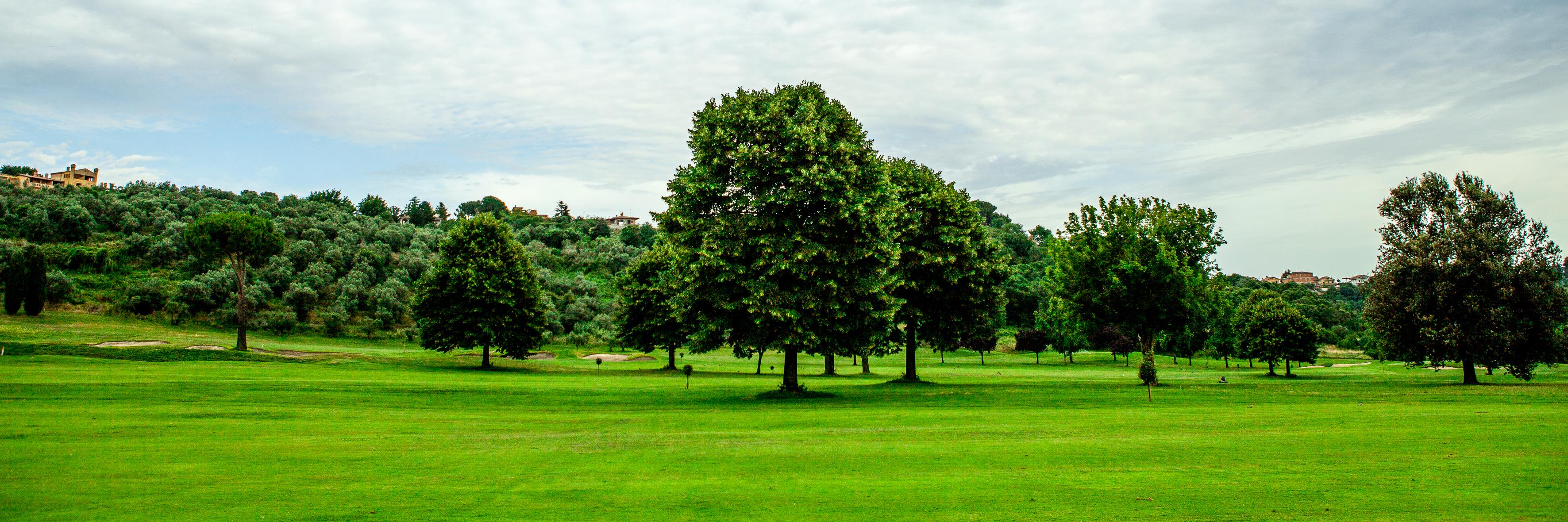 Castelgolf's profile banner image