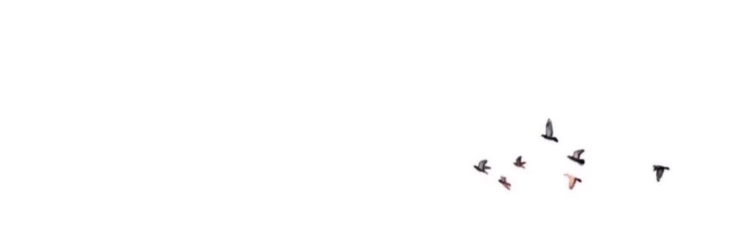 nouri_44's profile banner image
