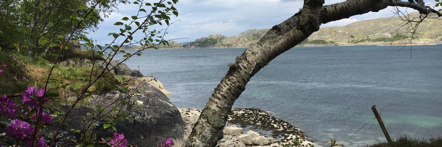 Anne Marie Fayen banner