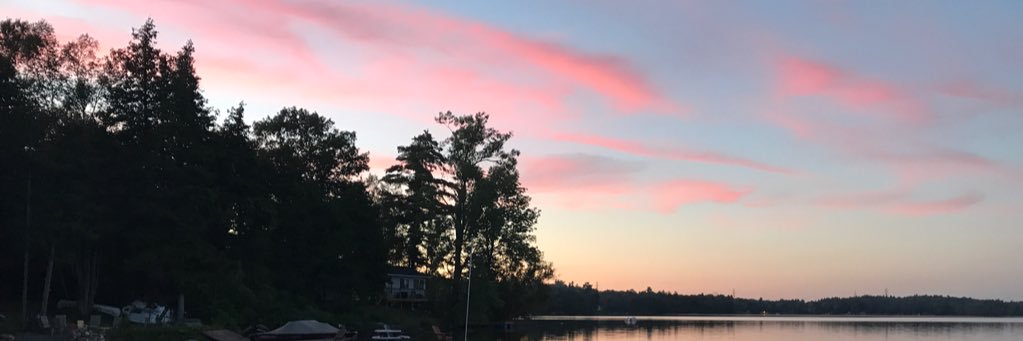 bardlap's profile banner image