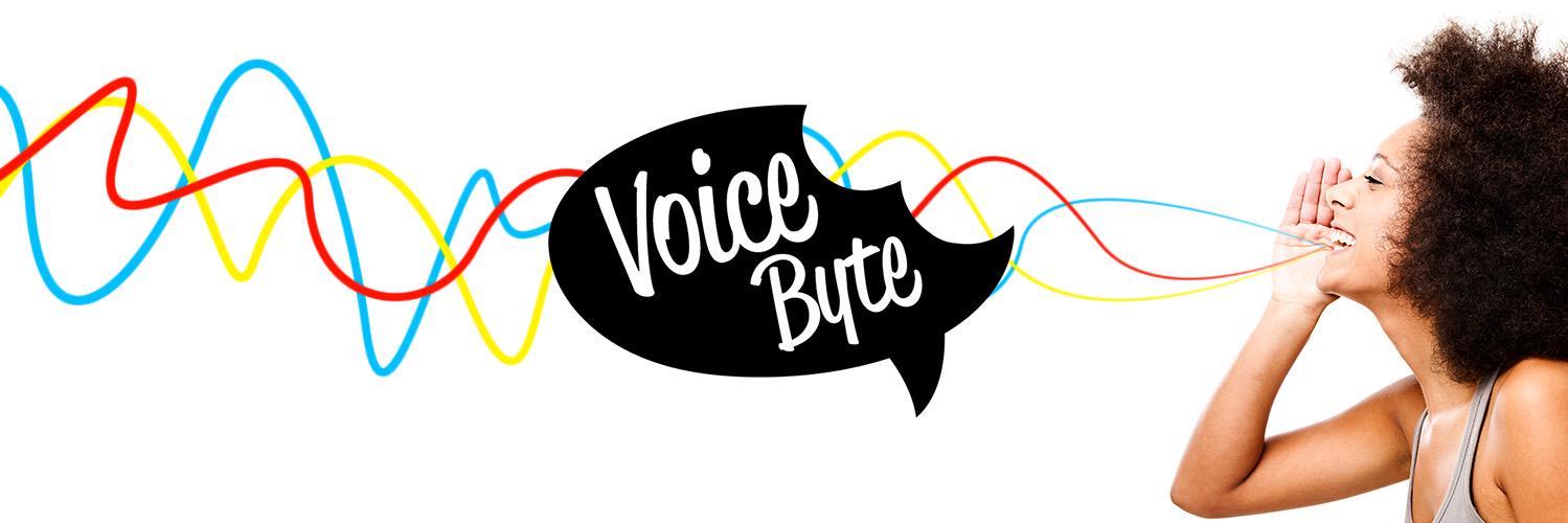 VoiceByte_'s profile banner image