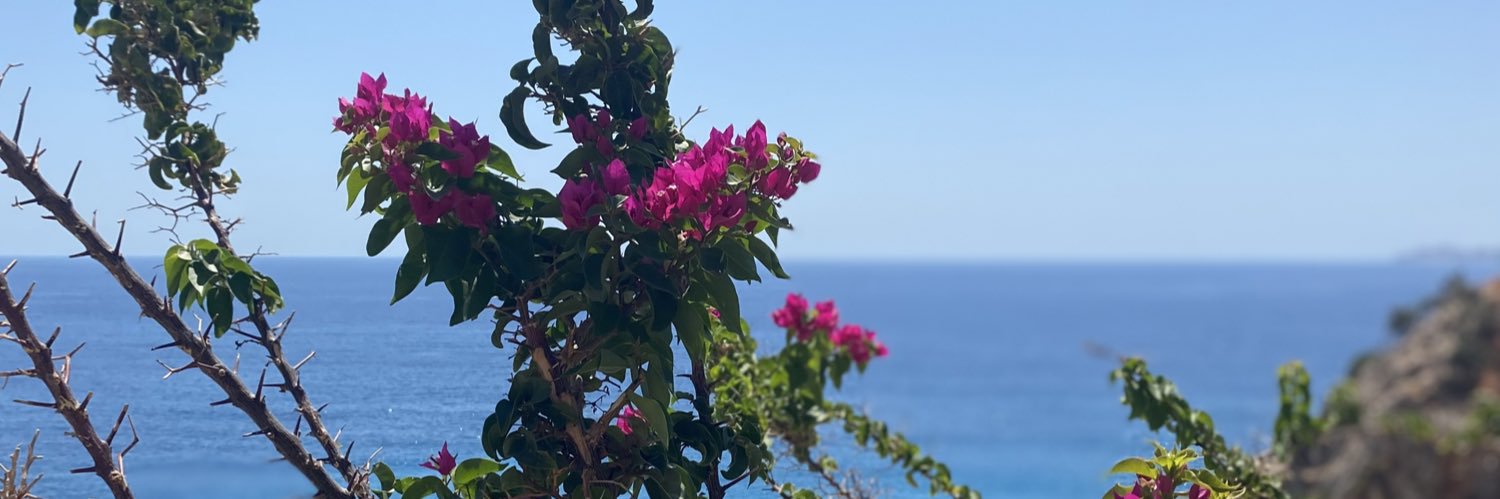 simgekaykan's profile banner image