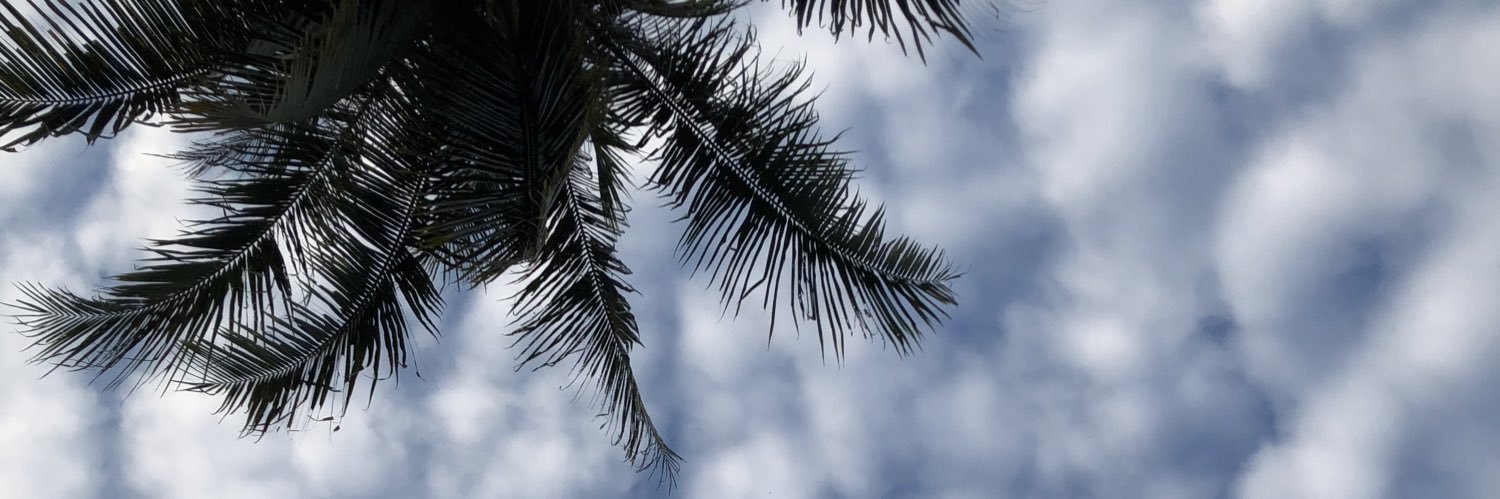 AdekFauzi's profile banner image