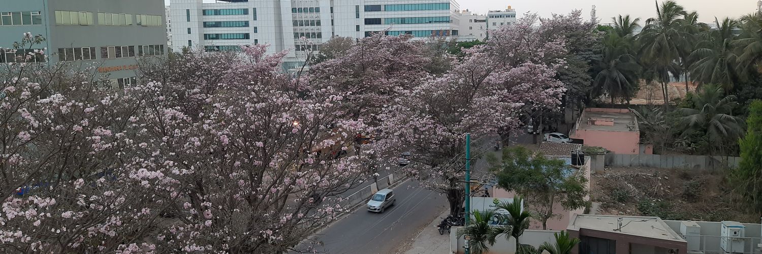 sandip_chhatui's profile banner image