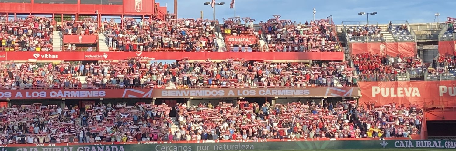 Pedro alemañ banner