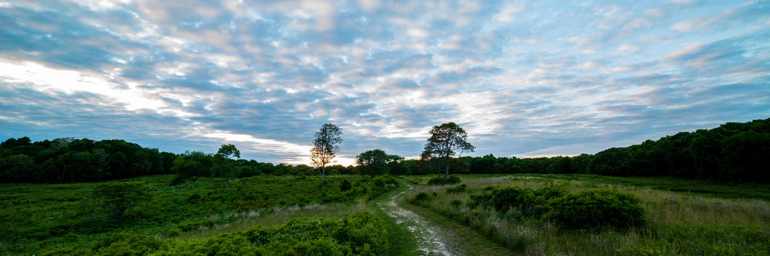 nature_ny's profile banner image