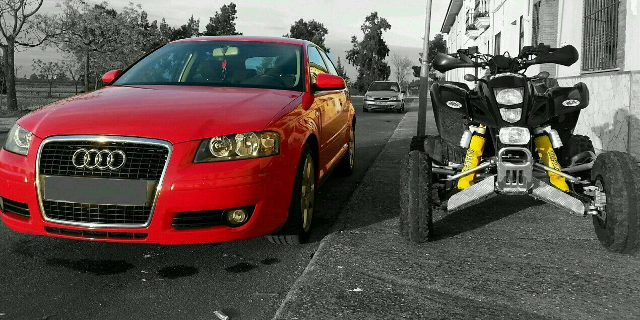 chiqui_valdi's profile banner image