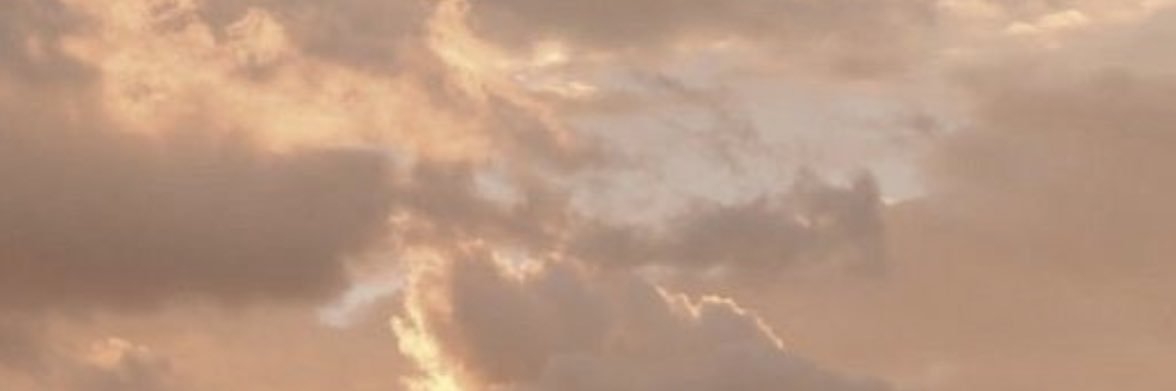 AsiaTaylor_'s profile banner image