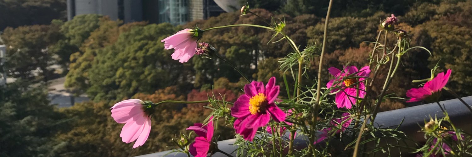 junzilan5022's profile banner image
