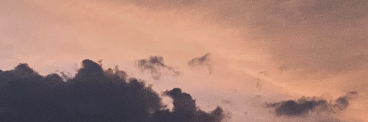 srftrsh_'s profile banner image