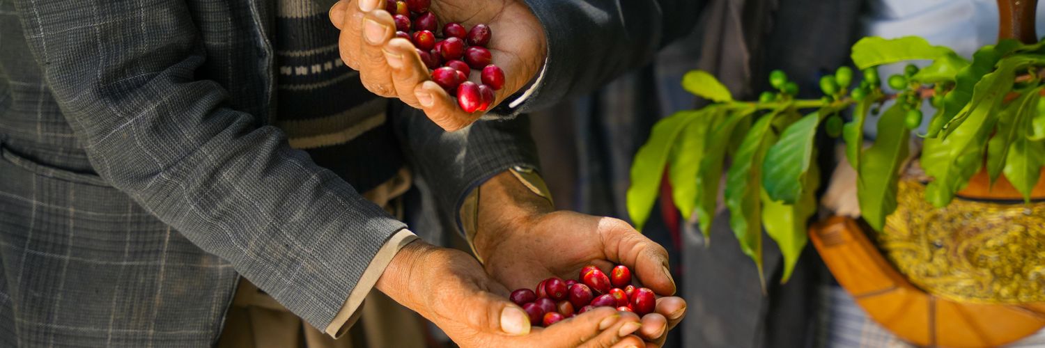 عبدالملك🎻 banner