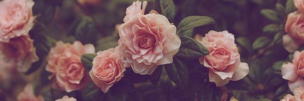 wmolti3's profile banner image