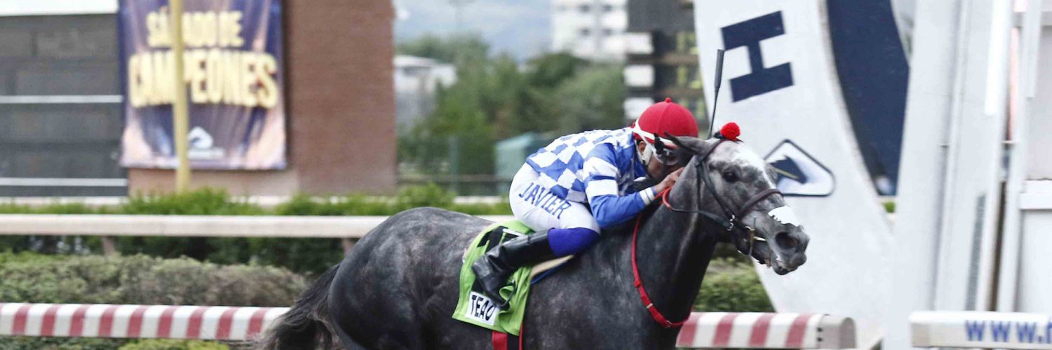 HIPICOS_OFICIAL's profile banner image