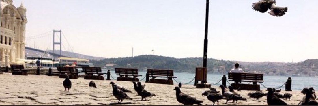 K_almtiry's profile banner image