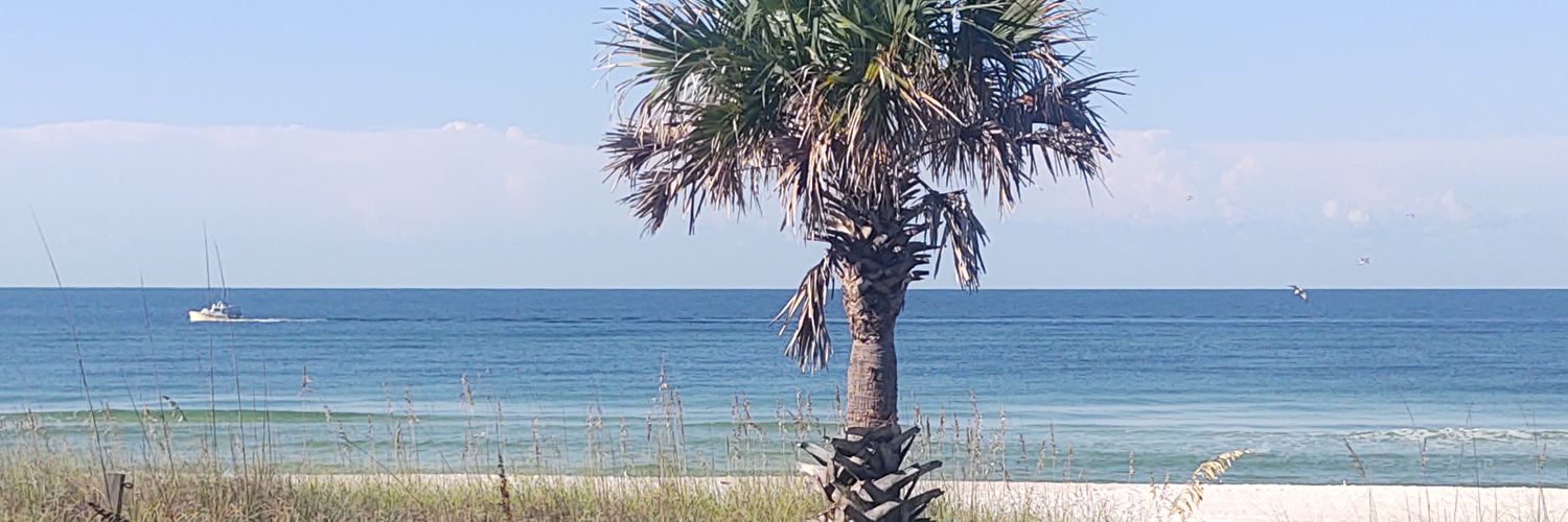 ohjohnnyhammer's profile banner image