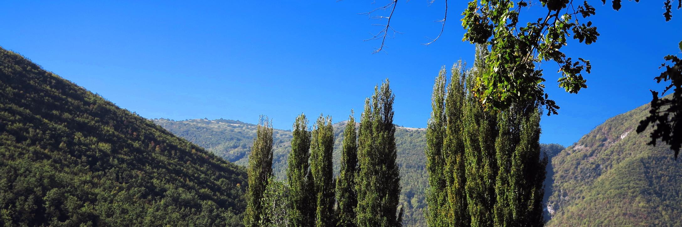 PaoloPierm's profile banner image