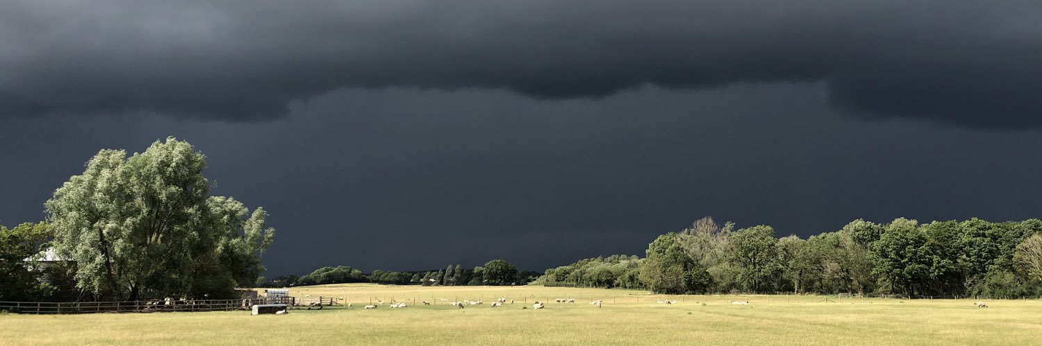 Stuart Miller 🔸 banner