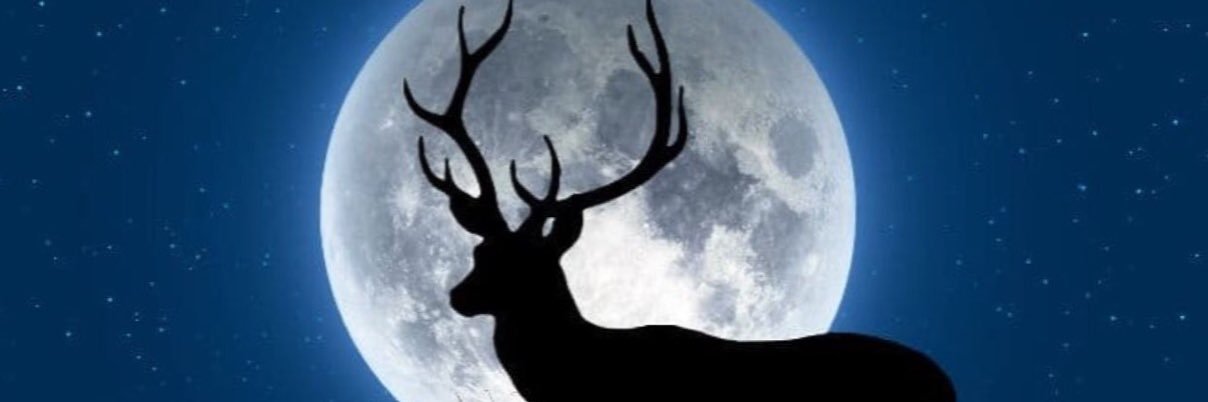 mackgtweet's profile banner image