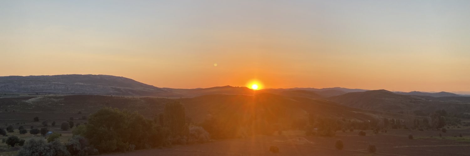 edisy1's profile banner image