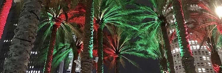 shawna6ix's profile banner image