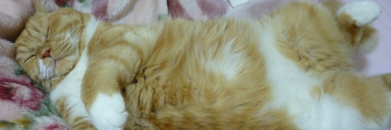 ふぉれっと banner