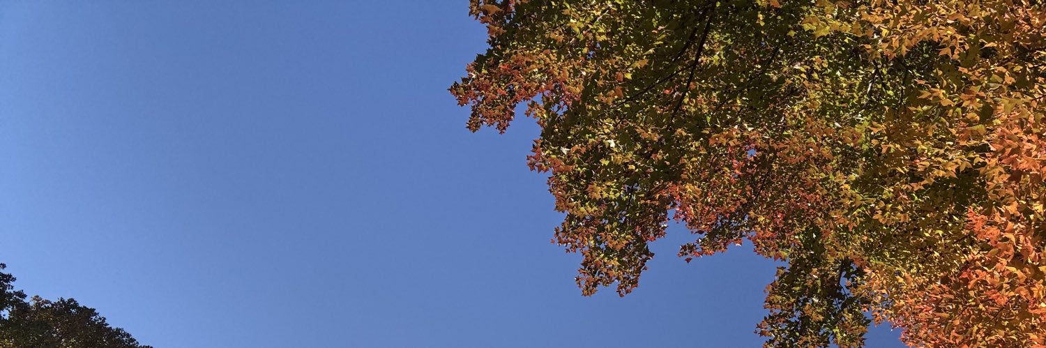 tane__21's profile banner image