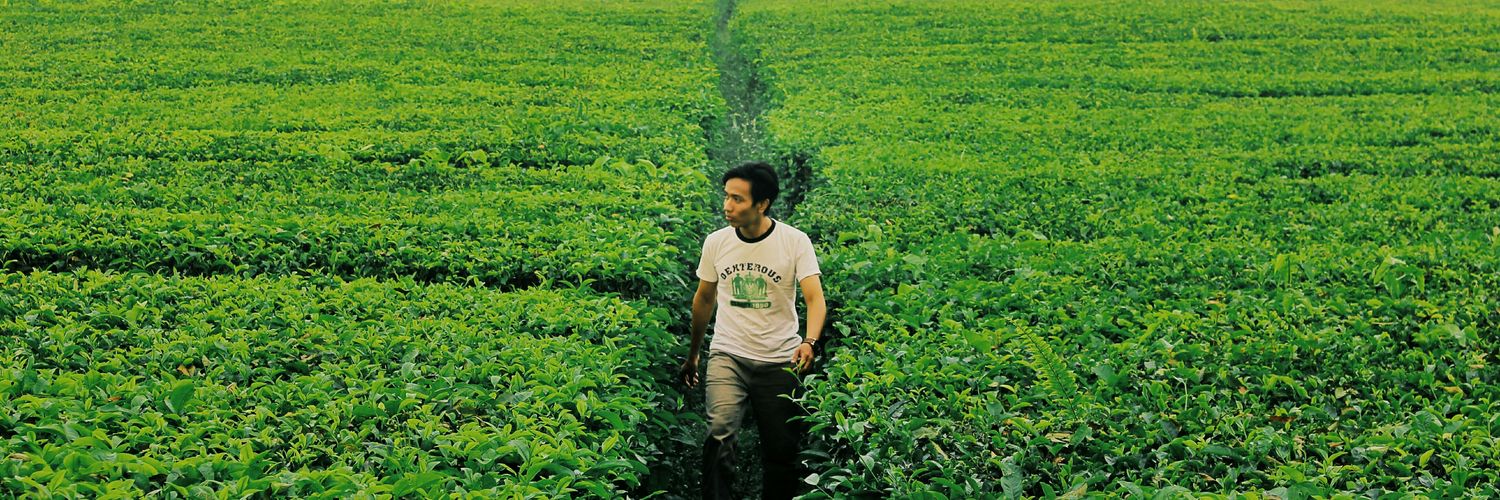 amannoris's profile banner image
