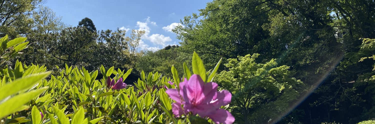 弁護士 児玉晃一's banner