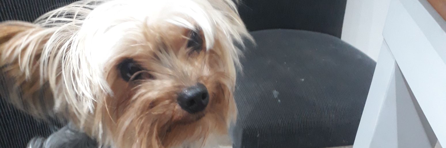 canducatad's profile banner image