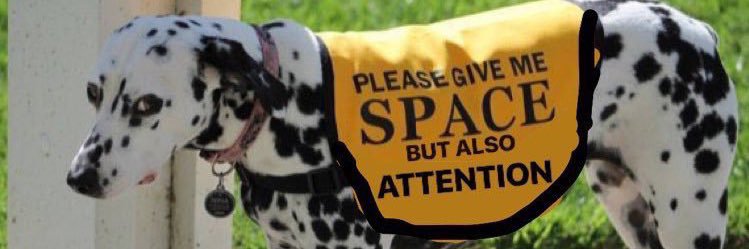 socialism or barbarism banner