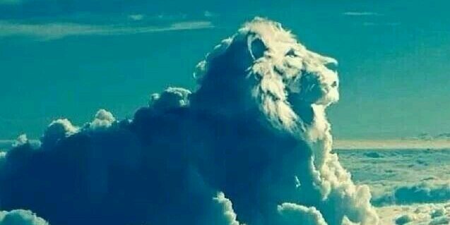 bollum01's profile banner image