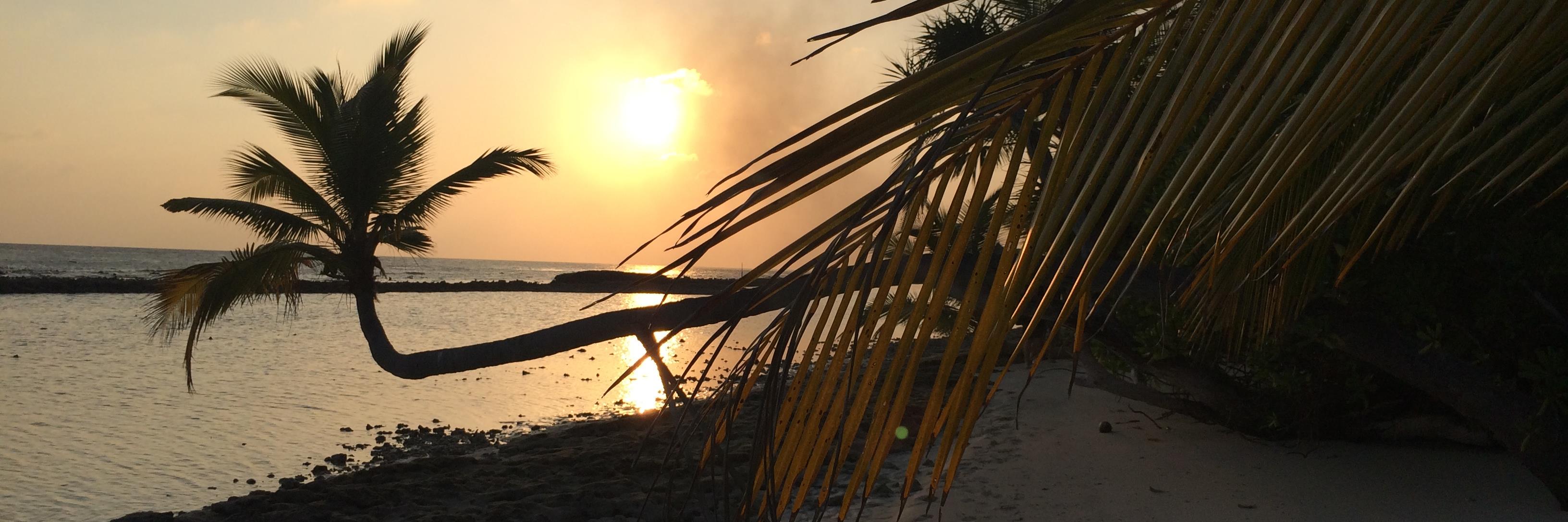 Caryl Russell banner