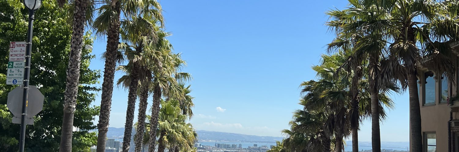 lilsmgv's profile banner image