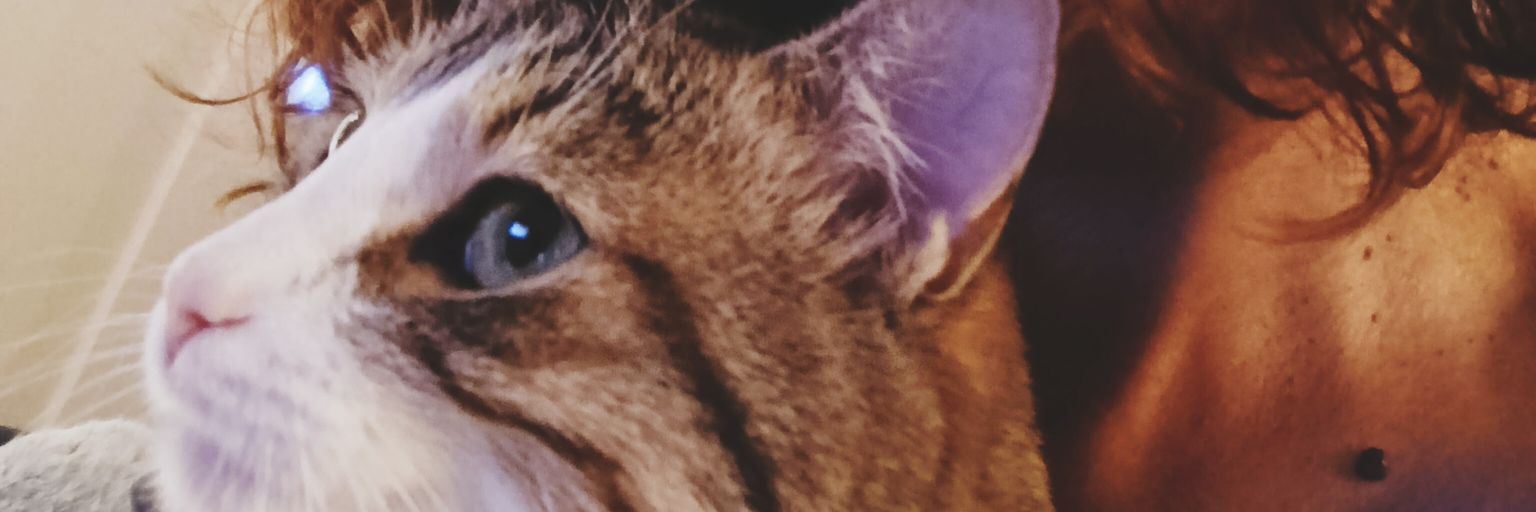 xanisse's profile banner image