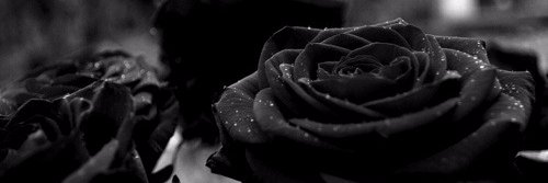 SarayDancer98's profile banner image