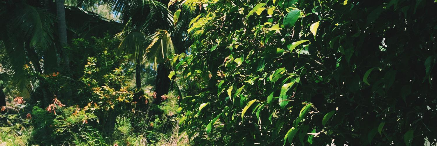 Brandeeashlyn's profile banner image