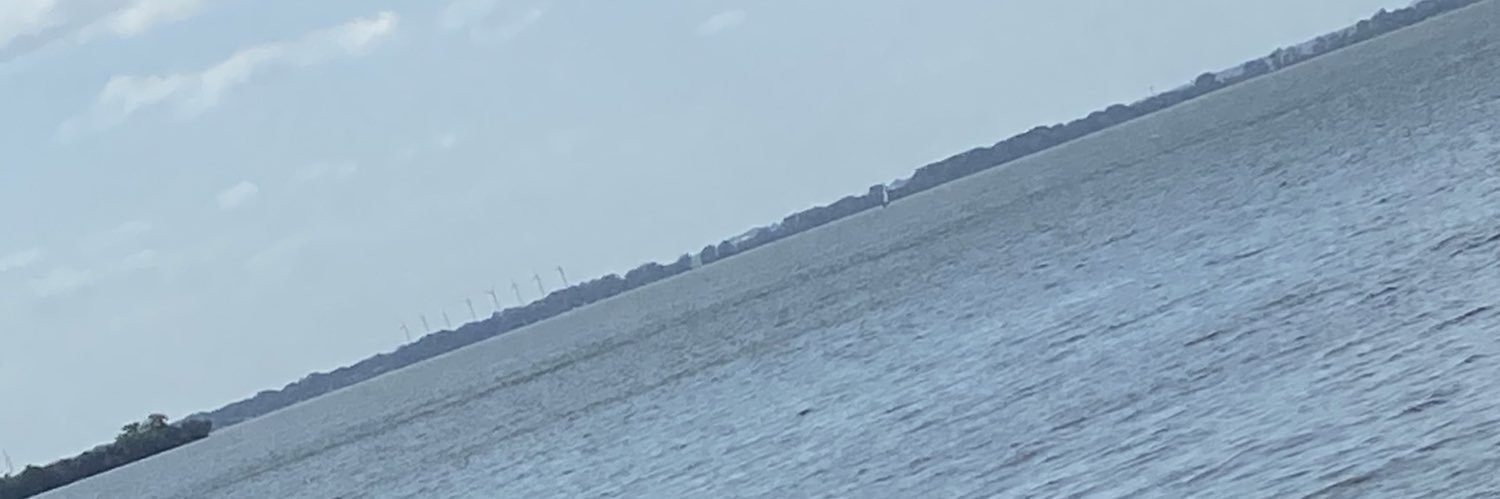 BethBjorkgren's profile banner image
