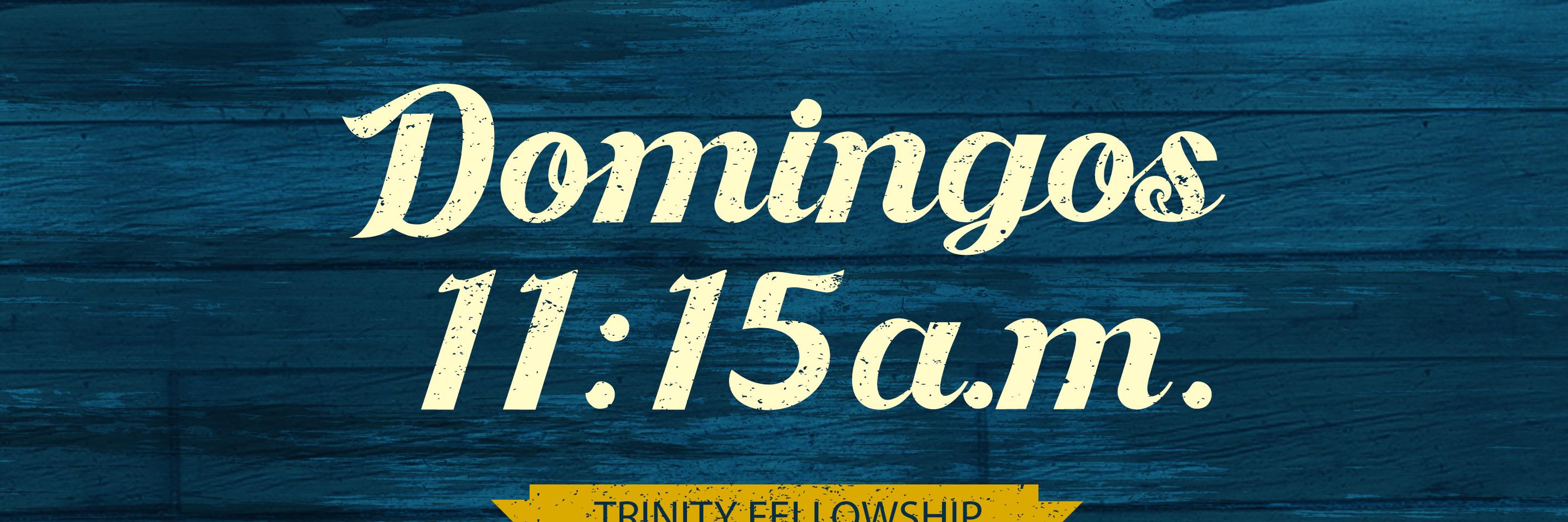 trinityespanol's profile banner image