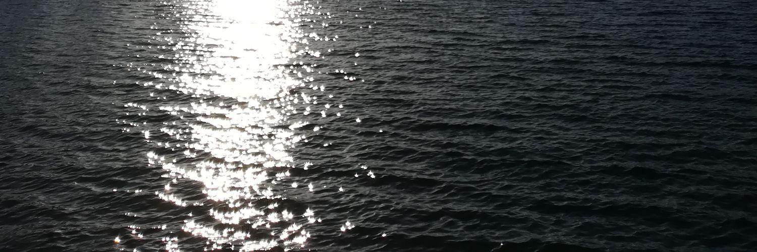 maceira5's profile banner image