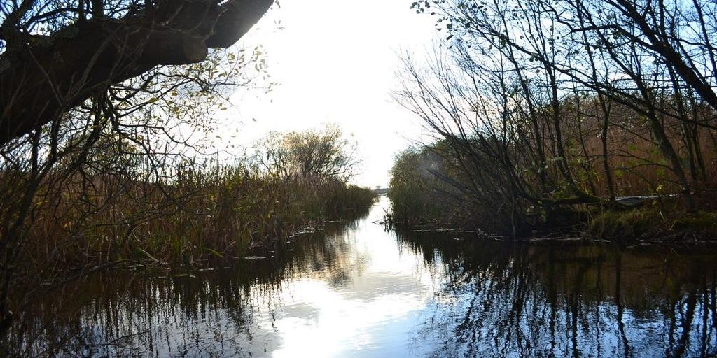 tobyneilson's profile banner image