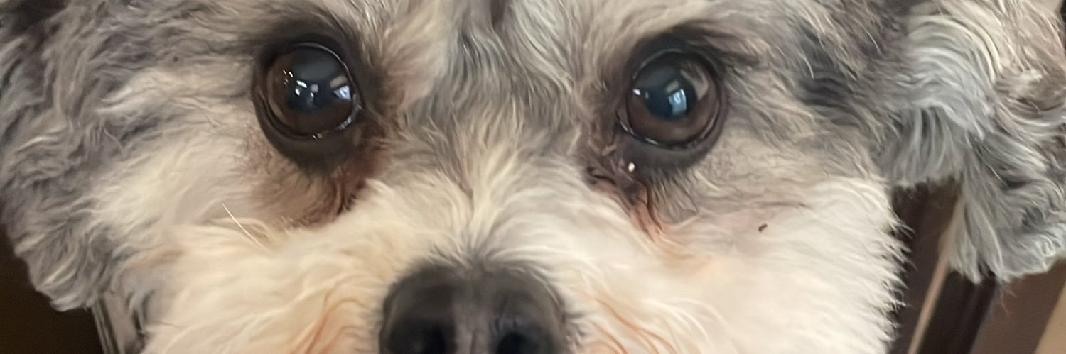 ToddWeatherbie's profile banner image