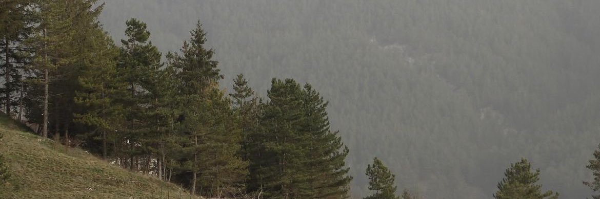 elladaprada's profile banner image