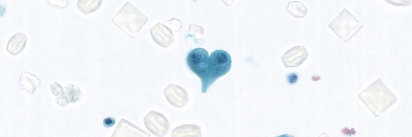 RiveraRolonMD's profile banner image