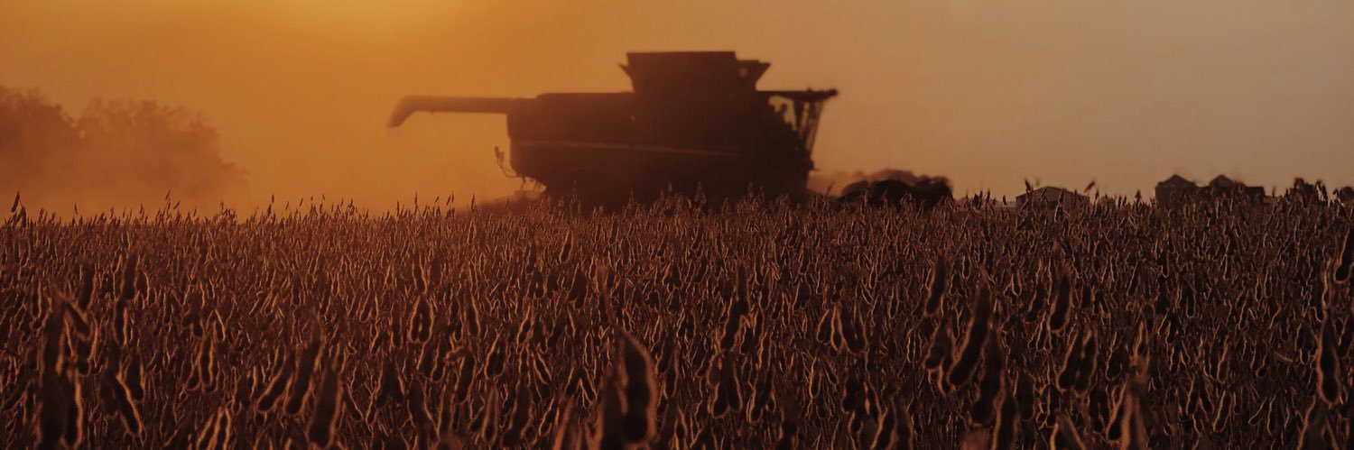 AshleyDealey's profile banner image