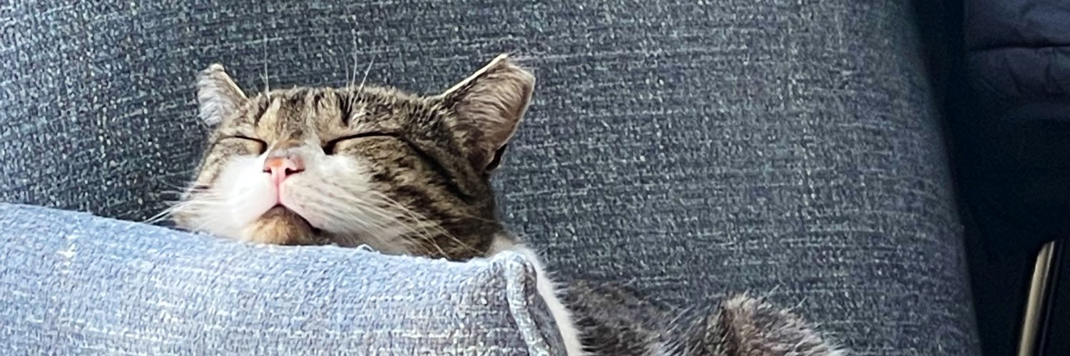 _carlottala's profile banner image