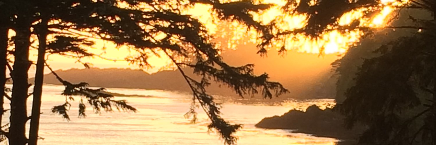 reneeram's profile banner image